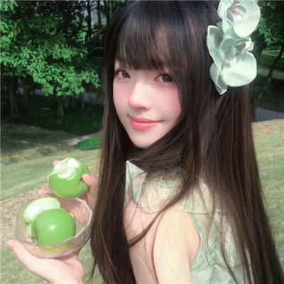 儿女英雄传
